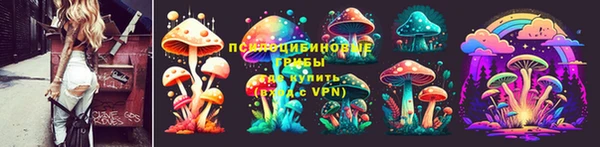 PSILOCYBIN Володарск