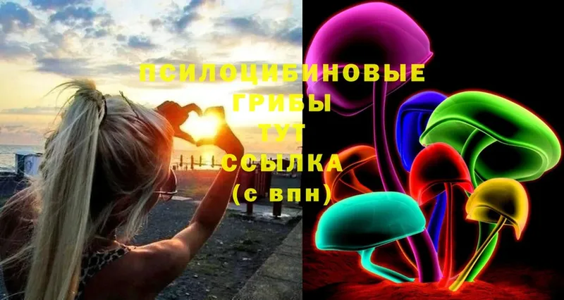 хочу   Опочка  ссылка на мегу зеркало  Псилоцибиновые грибы Psilocybine cubensis 